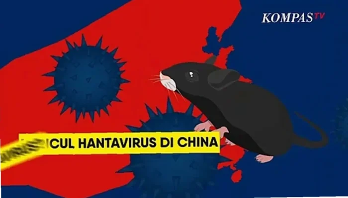 Virus Hanta,  Mengenal Bahaya & Cara Lindungi Diri Anda