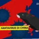 apa itu virus hanta