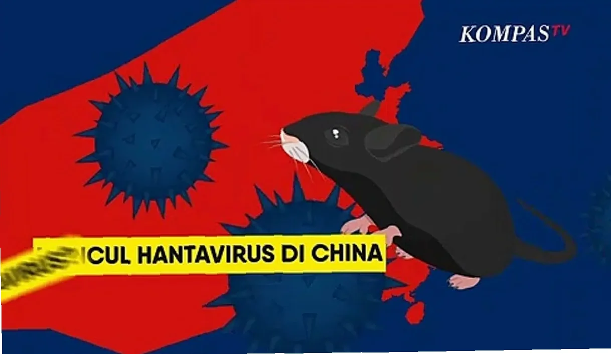 apa itu virus hanta