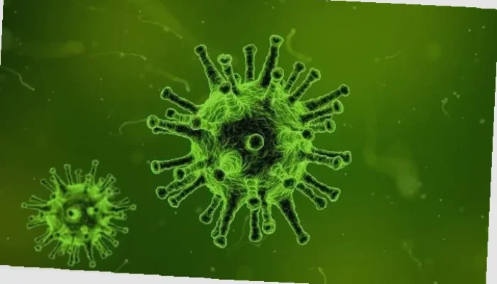 Waspadai Hantavirus!  Gejala Serius dan Cara Pencegahannya