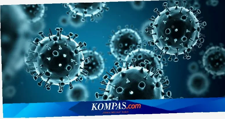 apakah virus hanta mematikan