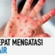 bagaimana cara mengobati virus hanta