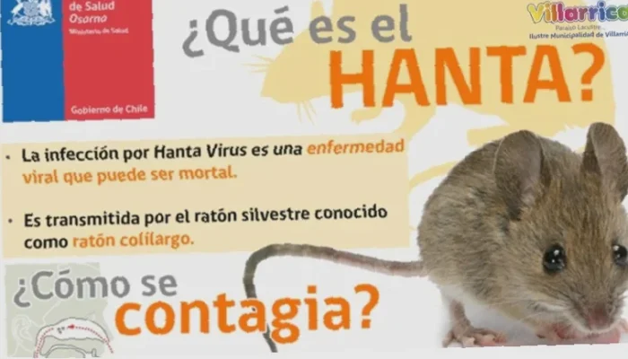 Mengenal Penyebaran Virus Hanta dengan Mudah dan Aman