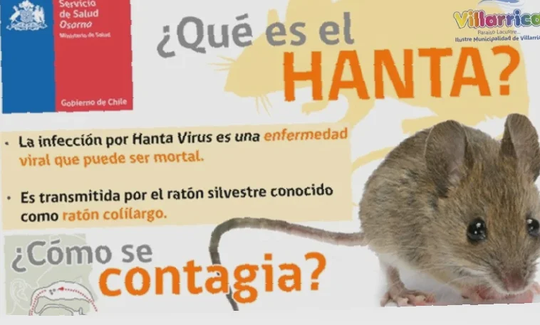 bagaimana virus hanta menyebar