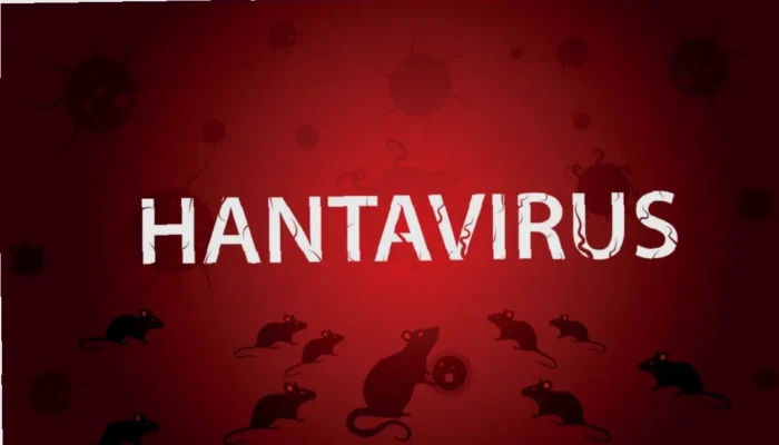 Waspadai! Cara Menular Hantavirus dari Tikus—Cegah Sekarang Juga