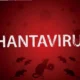 cara penularan hantavirus dari tikus