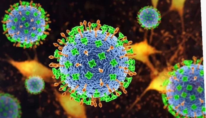 Waspadai Gejala Virus Hanta!  Kenali dan Cegah Sekarang
