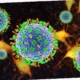 gejala virus hanta pada manusia