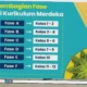 kurikulum merdeka untuk SD