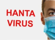 masa inkubasi hantavirus