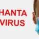 masa inkubasi hantavirus