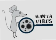 Pencegahan Virus Hanta, Rahasia Ampuh Lindungi Dirimu Sekarang!