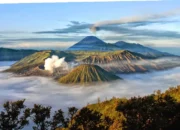 Wajib Coba!  Tempat Wisata Hits Jatim  Petualangan Seru  Menarik!