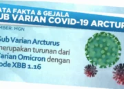 bagaimana gejala covid-19 varian stratus