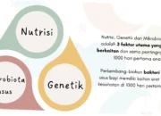 kapan sembelit disebut kronis