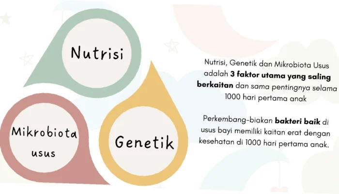 Sembelit Kronis?  Rahasia Cepat Sembuh!